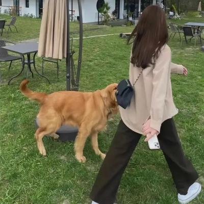 疯狂马戏团